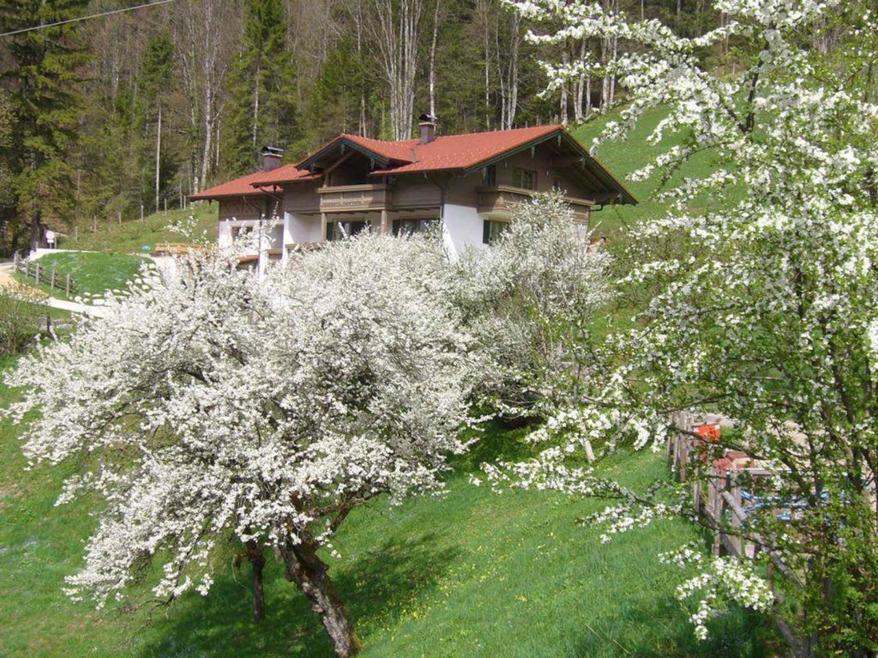 Haus Eicher Schneizlreuth Ngoại thất bức ảnh